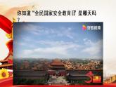 高中政治 坚持总体国家安全观 课件