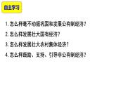 1.2 坚持“两个毫不动摇”  课件3必修二经济与社会