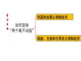 1.2 坚持“两个毫不动摇”  课件3必修二经济与社会