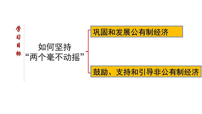 1.2 坚持“两个毫不动摇”  课件3必修二经济与社会04