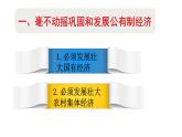 1.2 坚持“两个毫不动摇”  课件8必修二经济与社会