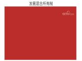 1.2 坚持“两个毫不动摇”  课件8必修二经济与社会