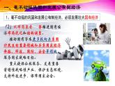 1.2 坚持“两个毫不动摇”  课件9必修二经济与社会