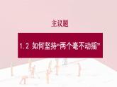1.2 坚持“两个毫不动摇”  课件10必修二经济与社会