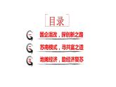 1.2 坚持“两个毫不动摇”  课件16必修二经济与社会