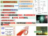 统编版高中思想政治选择性必修三13.2《超前思维的方法与意义》PPT课件