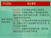 9.2 严格执法 课件+课堂检测（统编版必修3）
