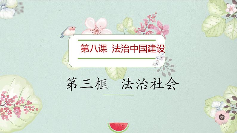 8.3 法治社会 课件 6 必修三政治与法治第2页