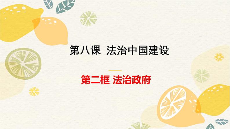 8.2 法治政府  课件7必修三政治与法治01