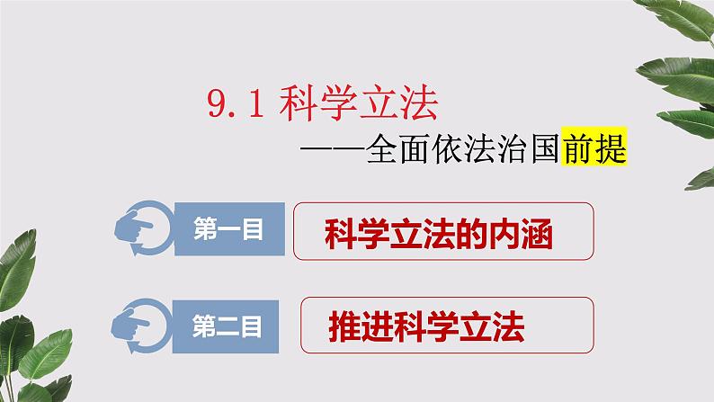 9.1 科学立法 课件7必修三政治与法治02