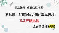 高中政治 (道德与法治)人教统编版必修3 政治与法治严格执法背景图课件ppt