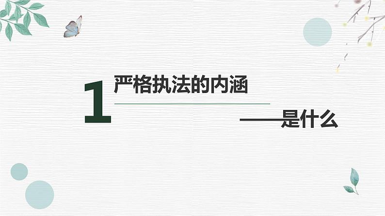 9.2 严格执法 课件 10 必修三政治与法治第3页