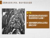 9.3 公正司法  课件 12必修三政治与法治