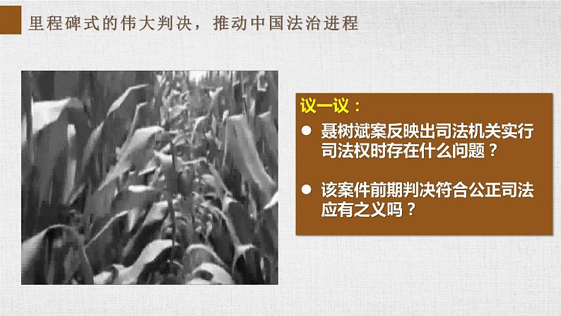 9.3 公正司法  课件 12必修三政治与法治第2页