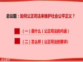9.3 公正司法  课件 5必修三政治与法治
