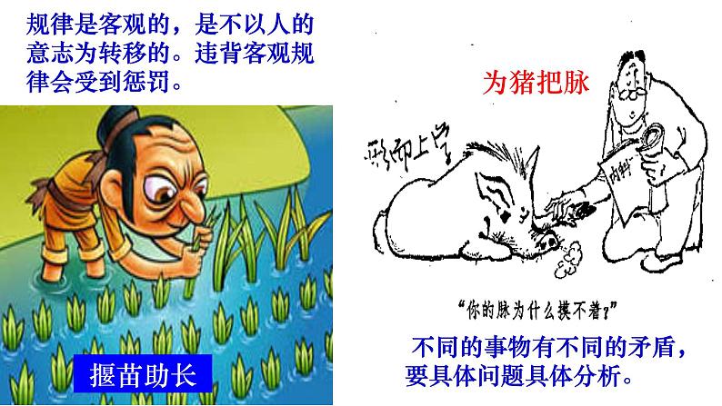 1.1 追求智慧的学问 课件8 必修四 哲学与文化06