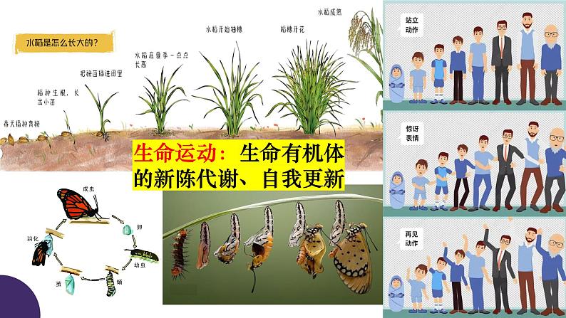 2.1 世界的物质性 课件 18必修四哲学与文化第5页