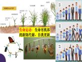 2.1 世界的物质性 课件 18必修四哲学与文化