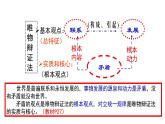 3.3 唯物辩证法的实质与核心 课件2 必修四哲学与文化