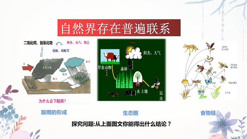 3.1 世界是普遍联系的课件10政治必修四哲学与文化第7页