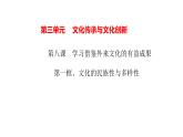 8.1 文化的民族性与多样性 课件6必修四哲学与文化