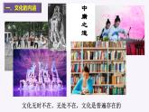 7.1 文化的内涵与功能 课件8 必修四哲学与文化
