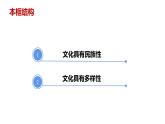 8.1 文化的民族性与多样性 课件7必修四哲学与文化