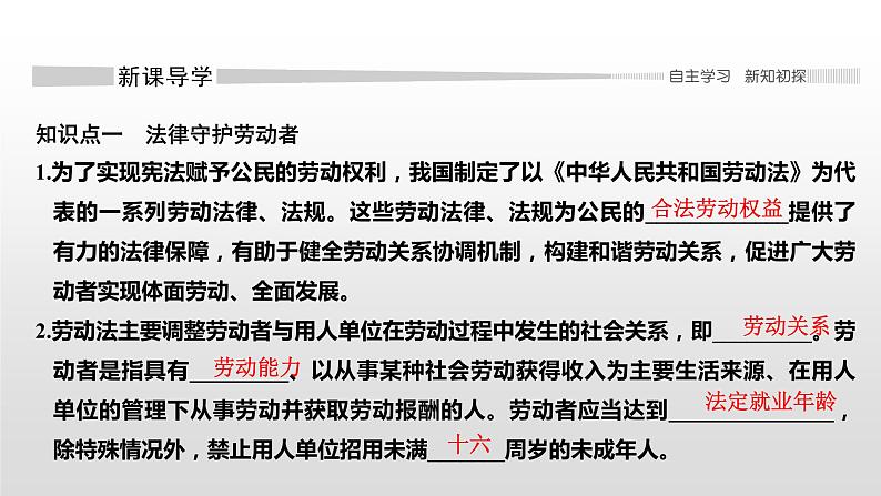 高中政治选修二  第一课时　立足职场有法宝课件第4页