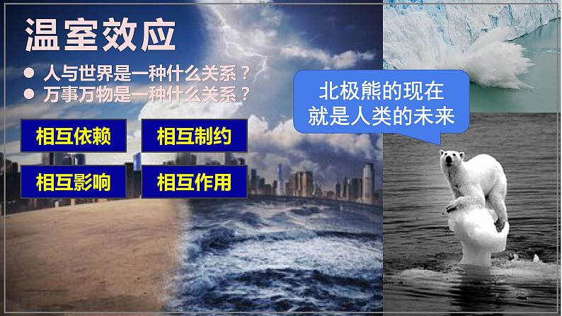 3.1 世界是普遍联系的 课件-2022-2023学年高中政治统编版必修四哲学与文化05