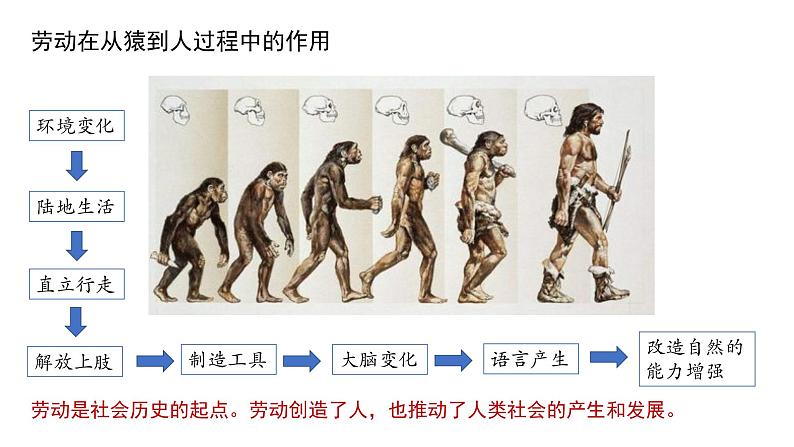 5.1 社会历史的本质 课件 高中政治人教部编版 必修4第5页