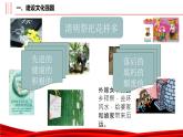 9.3 文化强国与文化自信 课件-2022-2023学年高中政治统编版必修四哲学与文化