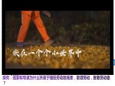 5.1社会历史的本质课件-2022-2023学年高中政治统编版必修四哲学与文化