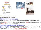 3.2世界是永恒发展的课件-2022-2023学年高中政治统编版必修四哲学与文化