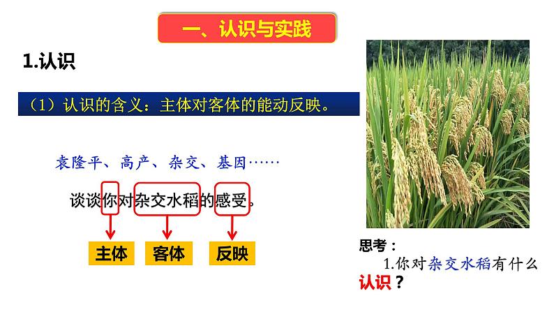 4.1人的认识从何而来课件-2022-2023学年高中政治统编版必修四哲学与文化第5页