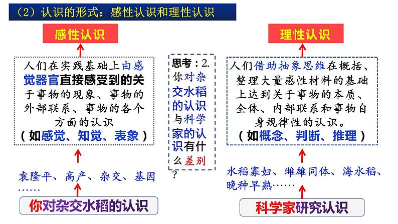 4.1人的认识从何而来课件-2022-2023学年高中政治统编版必修四哲学与文化第6页