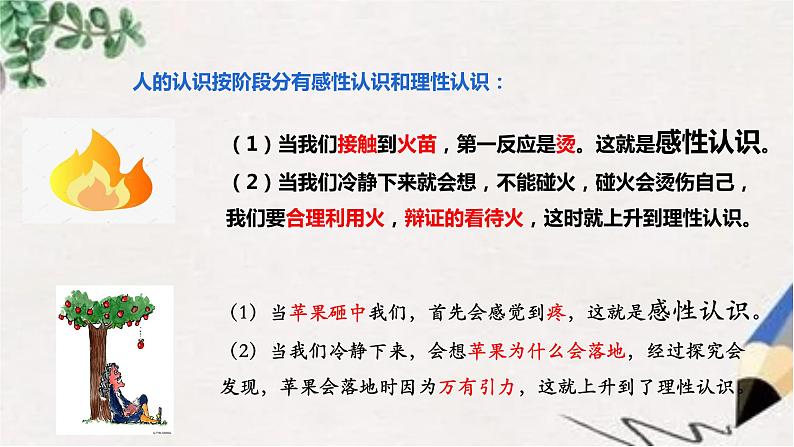 统编版高中政治选择性必修三 1.1思维的含义与特征课件05