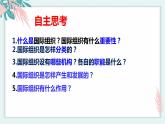 8.1日益重要的国际组织 课件 高中政治选择性必修一  当代国际政治与经济