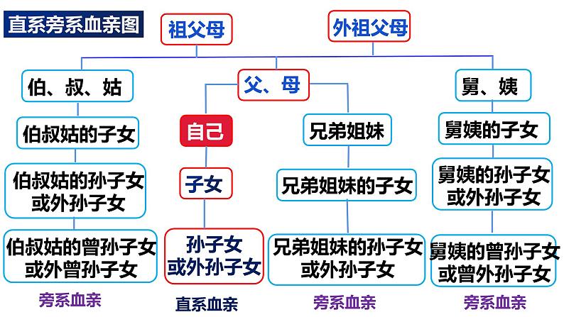 6.1 法律保护下的婚姻 课件第8页