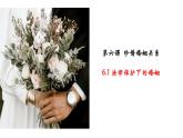 6.1 法律保护下的婚姻 课件-2022-2023学年高中政治统编版选择性必修二法律与生活