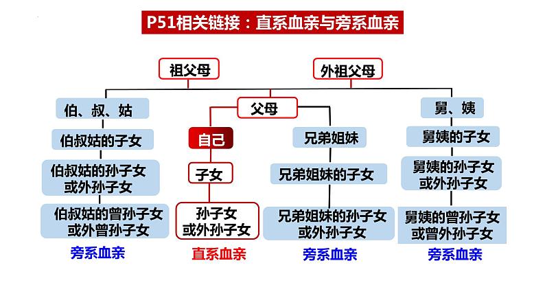 6.1 法律保护下的婚姻 课件-2022-2023学年高中政治统编版选择性必修二法律与生活07