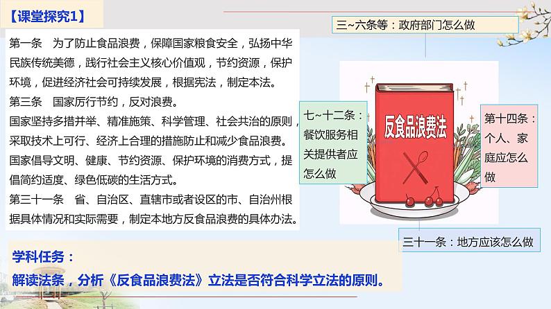 9.1 科学立法 课件第5页