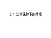 6.1 法律保护下的婚姻 课件