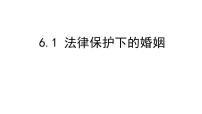 人教统编版选择性必修2 法律与生活法律保护下的婚姻课文课件ppt