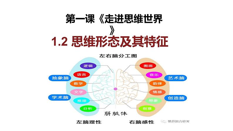 1.2 思维形态及其特征 课件03