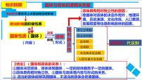 政治 (道德与法治)选择性必修1 当代国际政治与经济国家的政权组织形式教课课件ppt