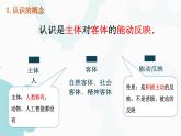 4.1  人的认识从何而来 课件-2022-2023学年高中政治统编版必修四哲学与文化