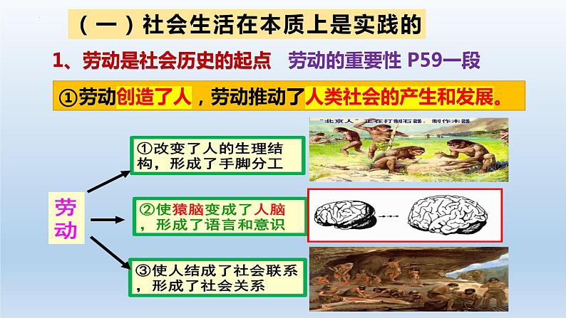 第五课 寻觅社会的真谛课件-2023届高考政治一轮复习统编版必修四哲学与文化第5页