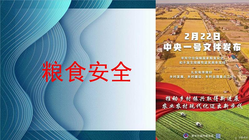 粮食安全时政热点复习课件-2023接高考政治一轮复习第1页