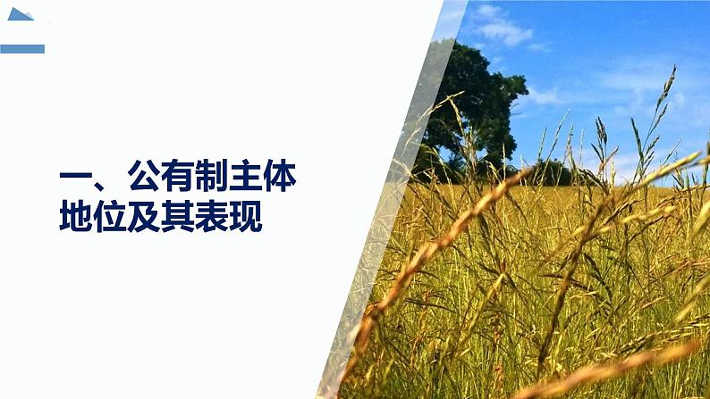 1.1公有制为主体 多种所有制经济共同发展课件-2022-2023学年高中政治统编版必修二经济与社会第5页