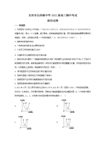 2022安庆白泽湖中学高三上学期期中考试政治试题含解析